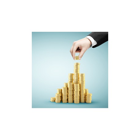 نرم افزار مخصوص شرکت های سرمایه گذاری آرپا