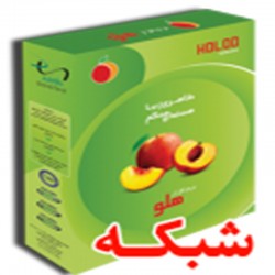 نرم افزار حسابداری هلو(شبکه)